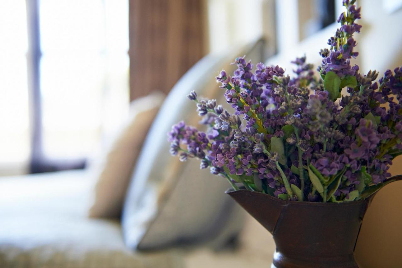 Cambridge Cottage - Self Catering Holiday House Exteriör bild